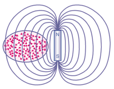 نیروهای الکتریکی و مغناطیسی